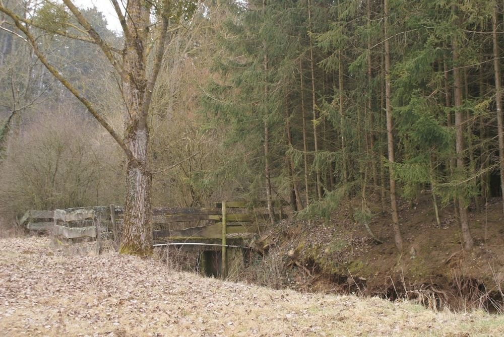 Crezilles Hotes Buitenkant foto